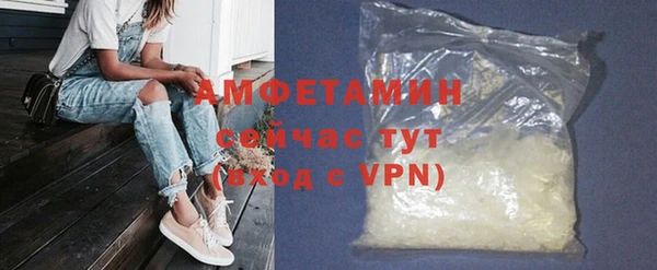 шишки Арсеньев