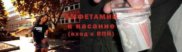 шишки Арсеньев