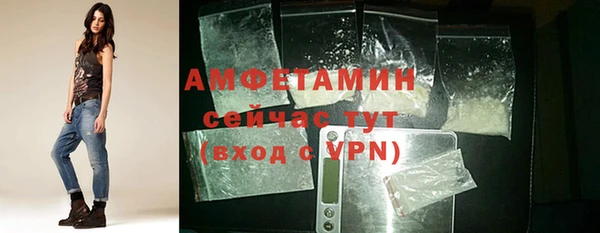 шишки Арсеньев