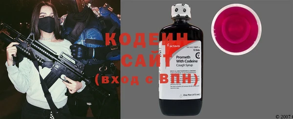шишки Арсеньев
