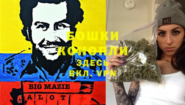 шишки Арсеньев