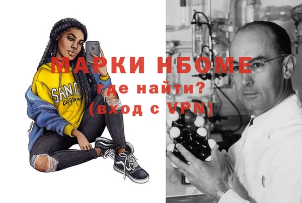 шишки Арсеньев