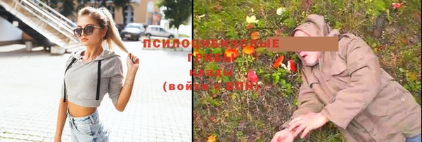 каннабис Аркадак