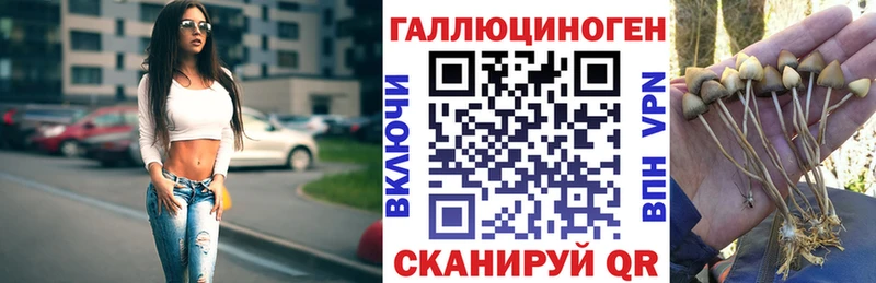 Галлюциногенные грибы мицелий  МЕГА зеркало  Канаш  купить наркотик 