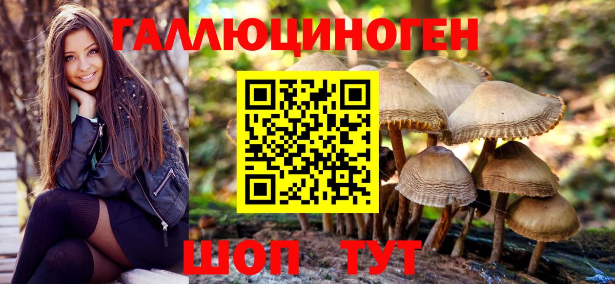 Галлюциногенные грибы Psilocybe  Галлюциногенные грибы Psilocybe  Канаш  Вход с VPN 