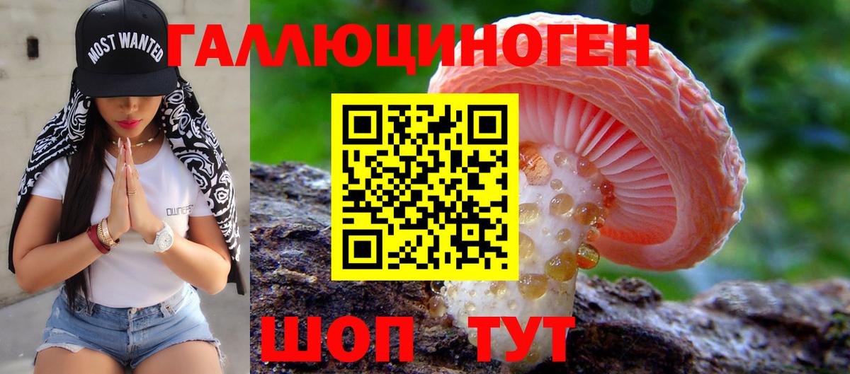 Псилоцибиновые грибы мицелий Канаш